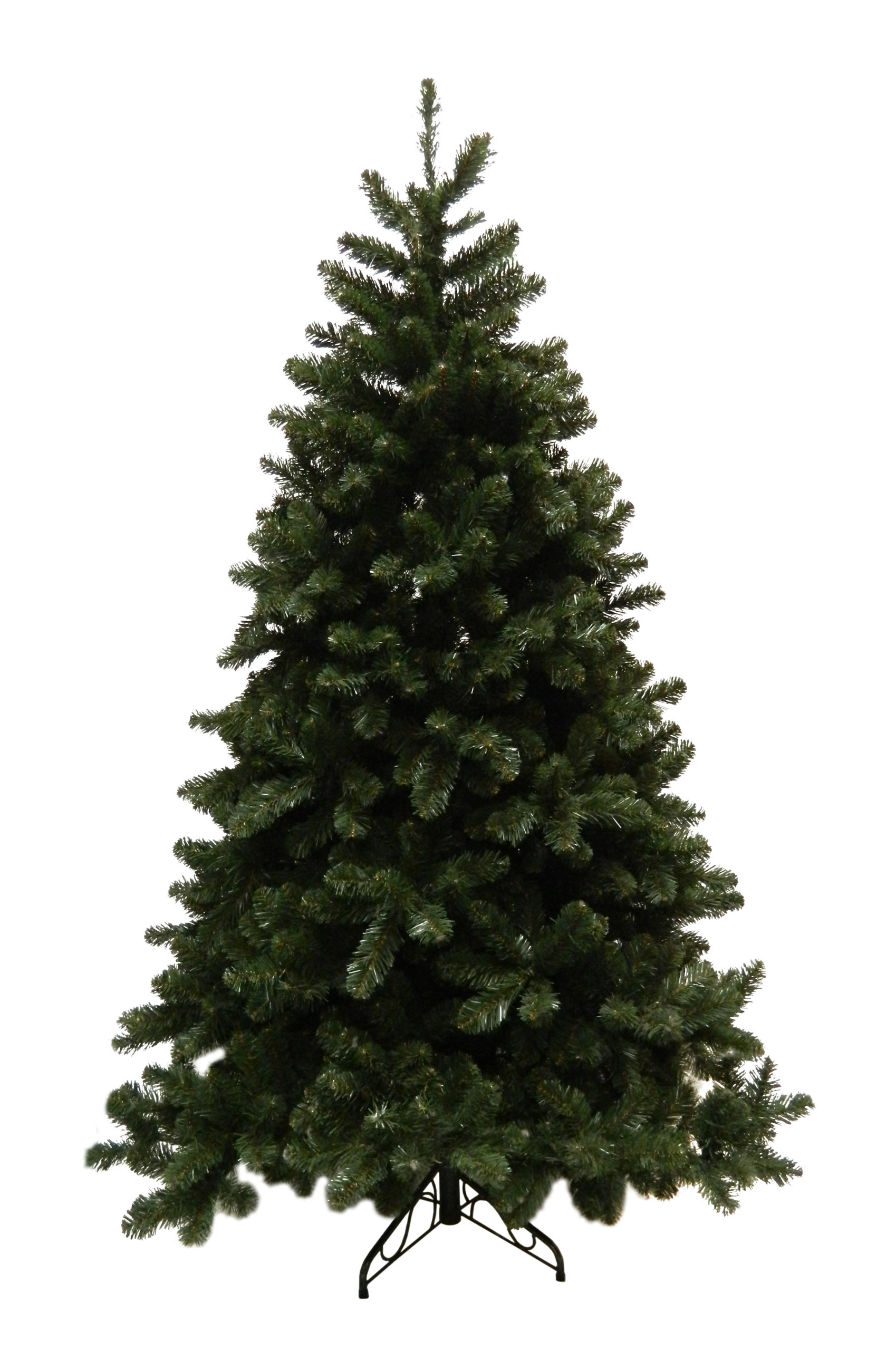 TREE ROYAL PINE 12'/ 5020TIPS Christmas Forever