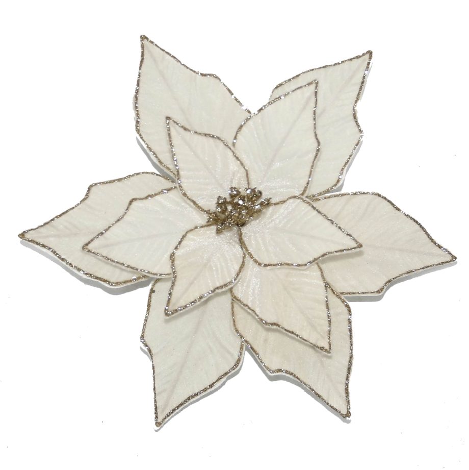 POINSETTIA HEAD IVORY 14" W/ GOLD GLITTER EDGE W/ CLIP