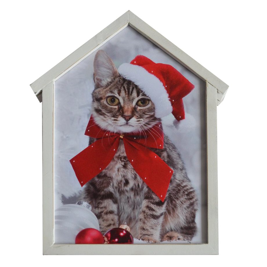 CANVAS W/ FRAME 12"X15"20 LED CAT W/ SANTA HAT W/TIMER