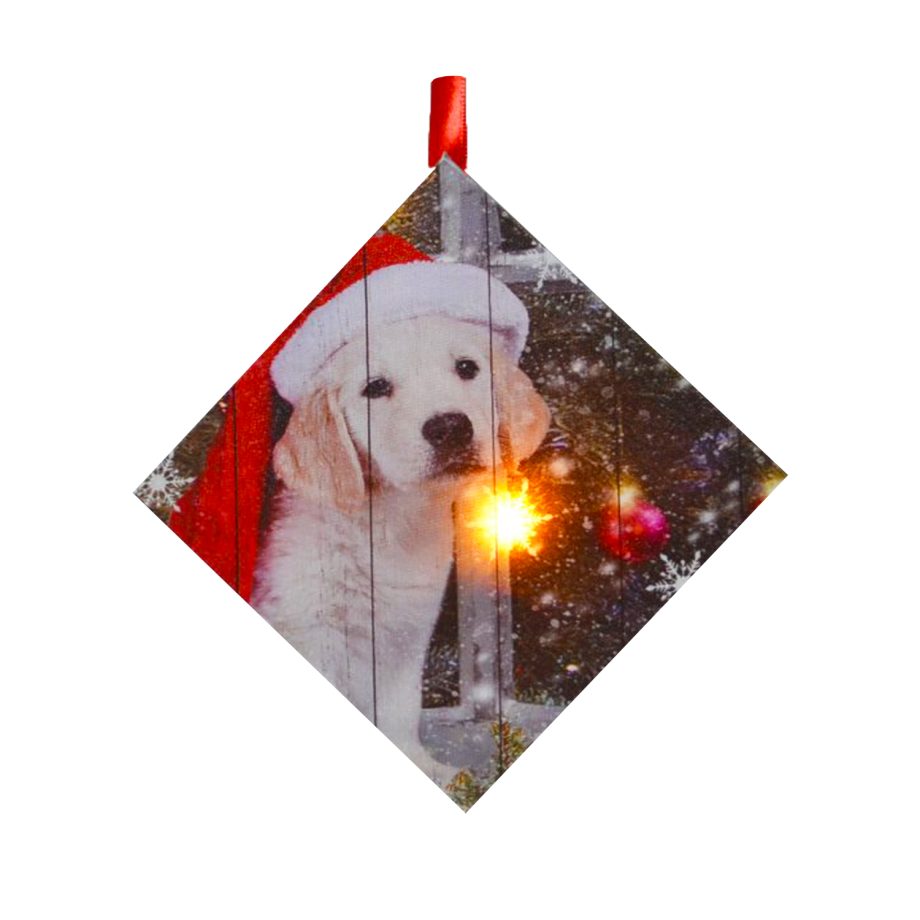CANVAS 05"X5" 1 LED W/ PUPPY W/ SANTA HAT