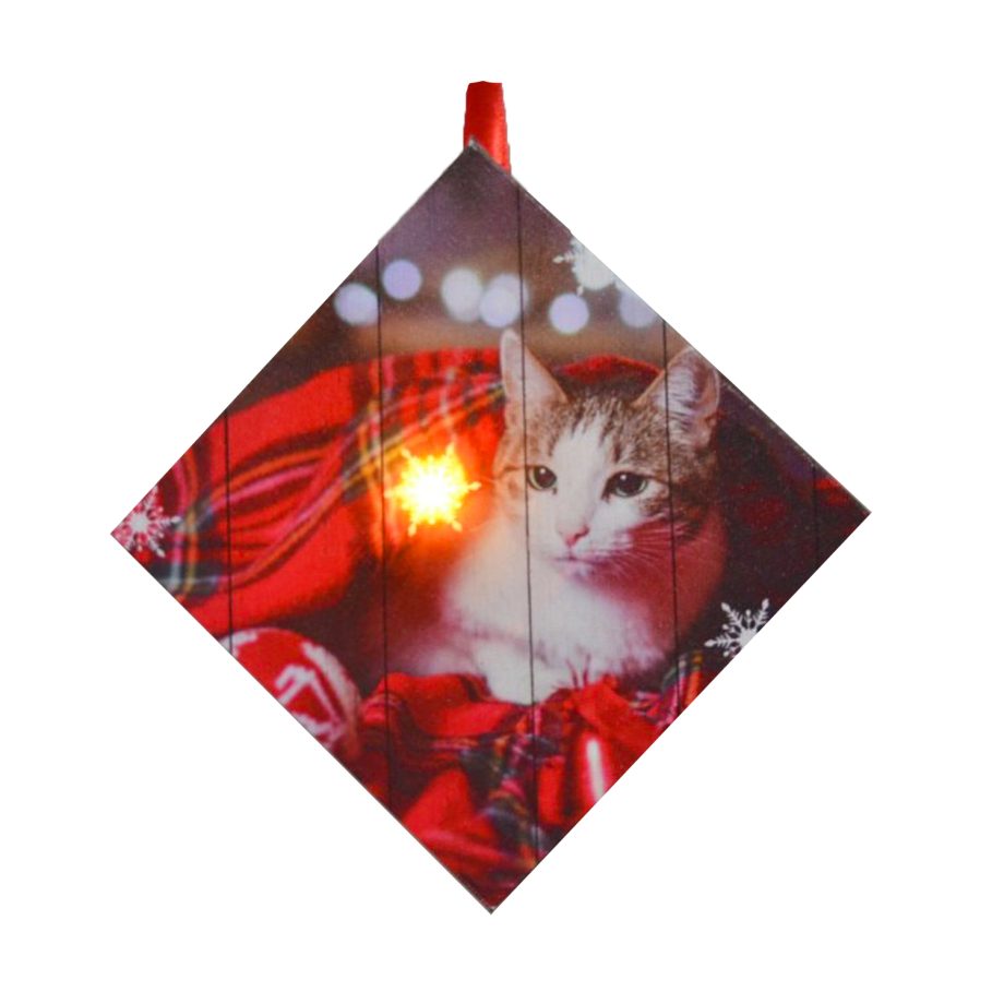 CANVAS 05"X5" 1 LED W/ CAT IN A BLANKET
