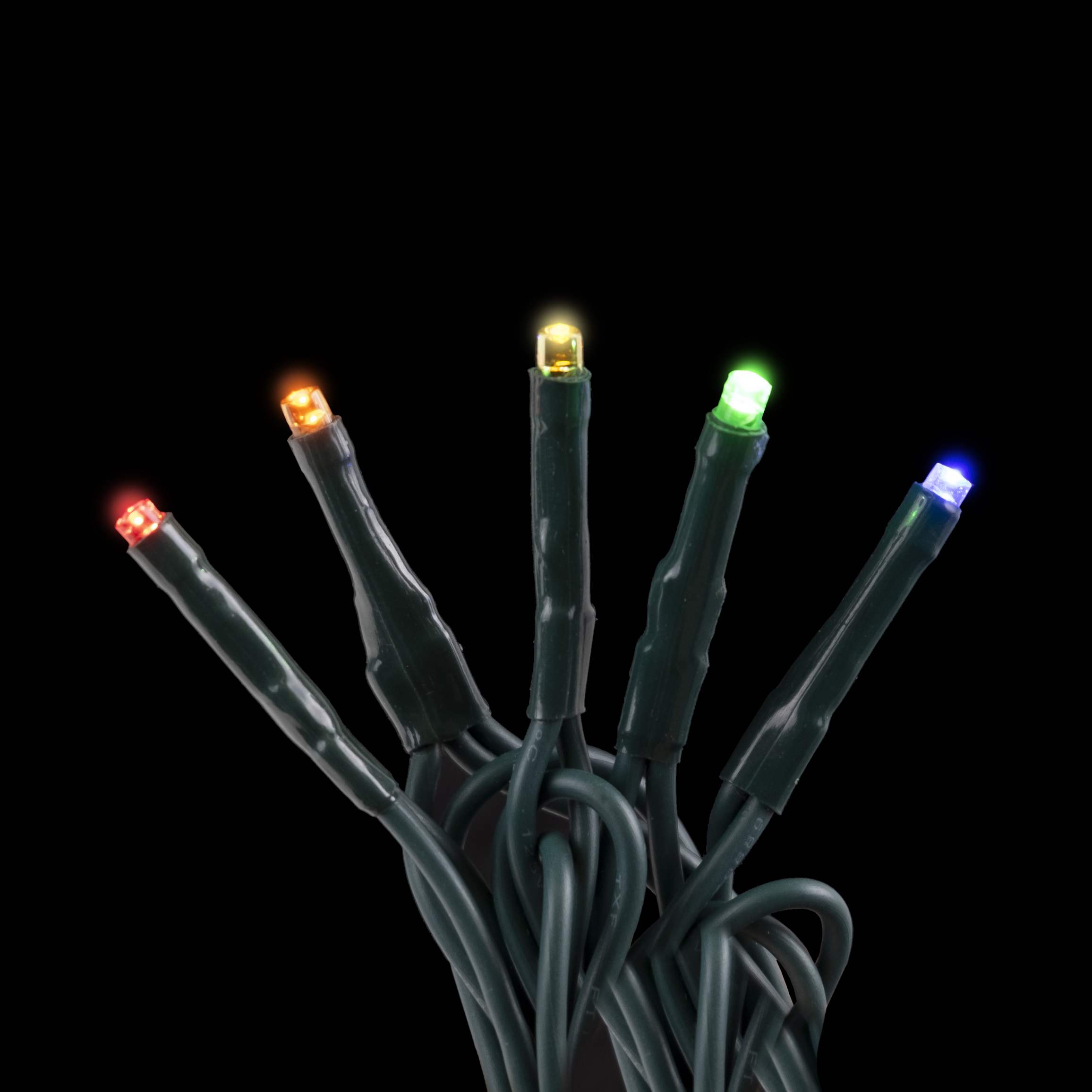 LIGHT LED I/D MICROBRIGHT 100L MULTI Christmas Forever