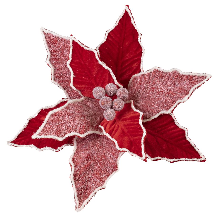 POINSETTIA HEAD RED 11" VELVET W/ FROSTED PETALS & CLIP