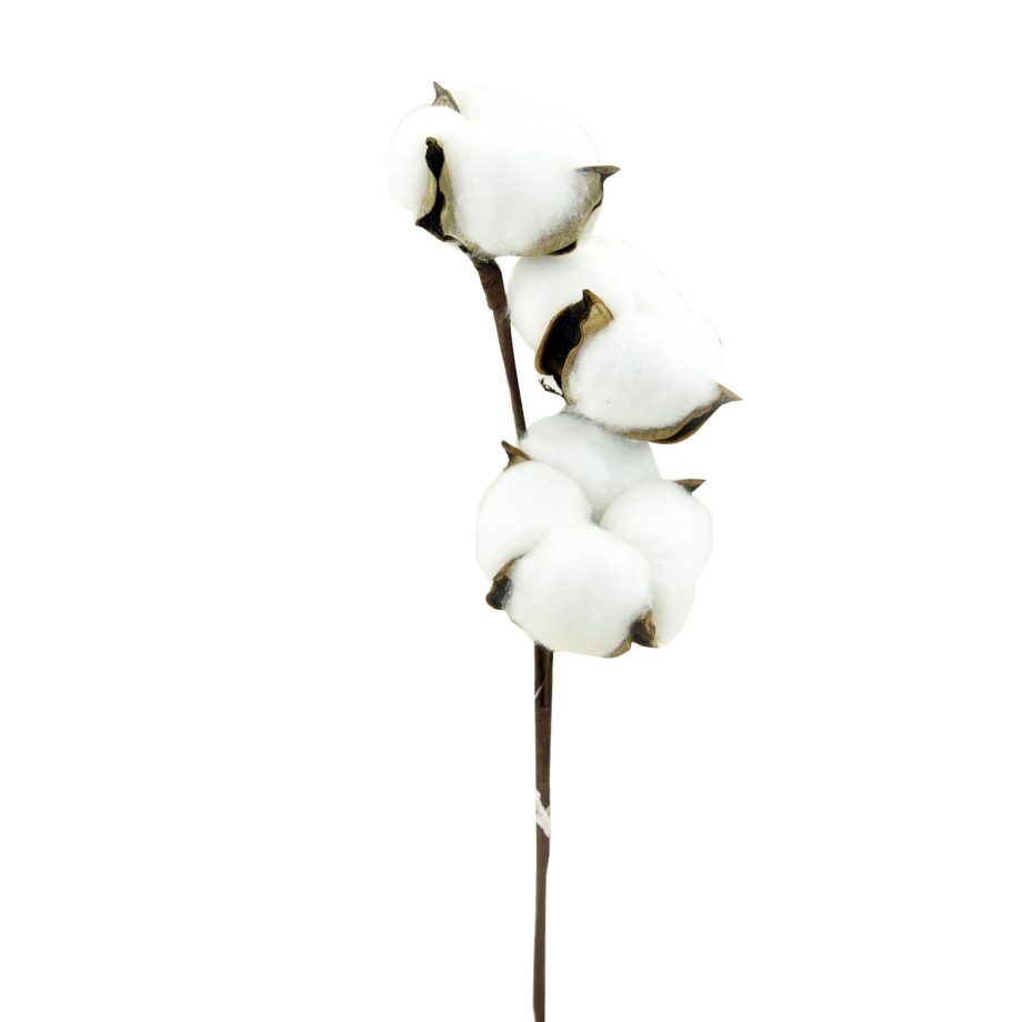 PICK COTTON POD 13.5" 3 HEAD WHITE