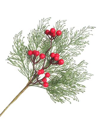 SPRAY GRN PINE 18" RED BERRIES W/ CEDAR