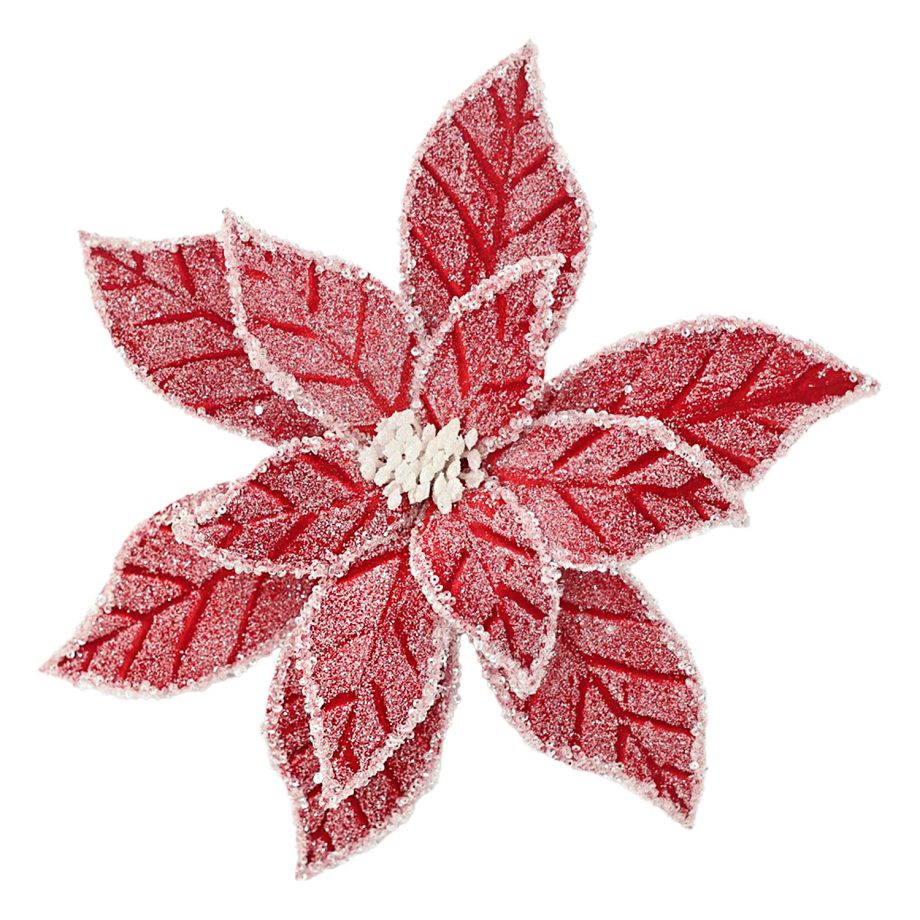 POINSETTIA HEAD RED 12" VELVET WHITE ICE EDGE AND FROSTING W/ CLIP