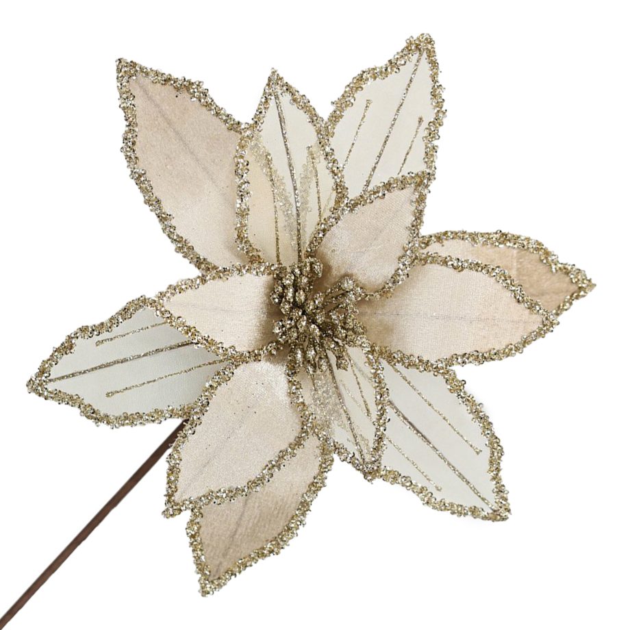 POINSETTIA STEM CHAMPAGNE 12" HEAD VELVET SHEER W/ 20" STEM