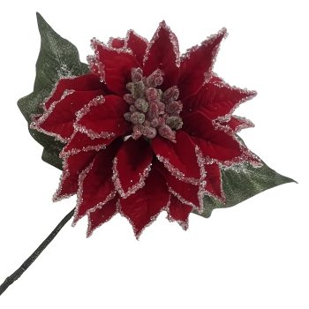 POINSETTIA STEM RED ICED 12" DLC VELVET HEAD W/24" STEM