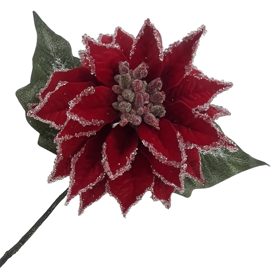 POINSETTIA STEM RED ICED 12" DLC VELVET HEAD W/24" STEM