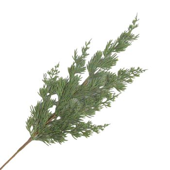 SPRAY CYPRESS 22" PE PINE