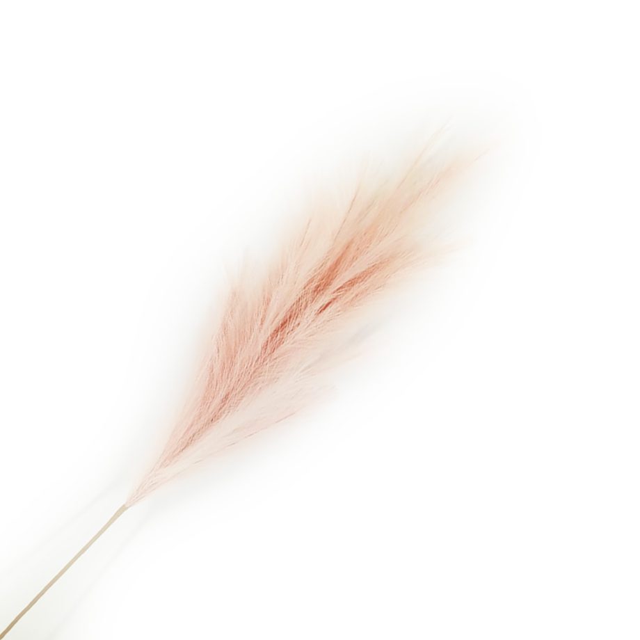 SPRAY PAMPAS GRASS 43" ROSE