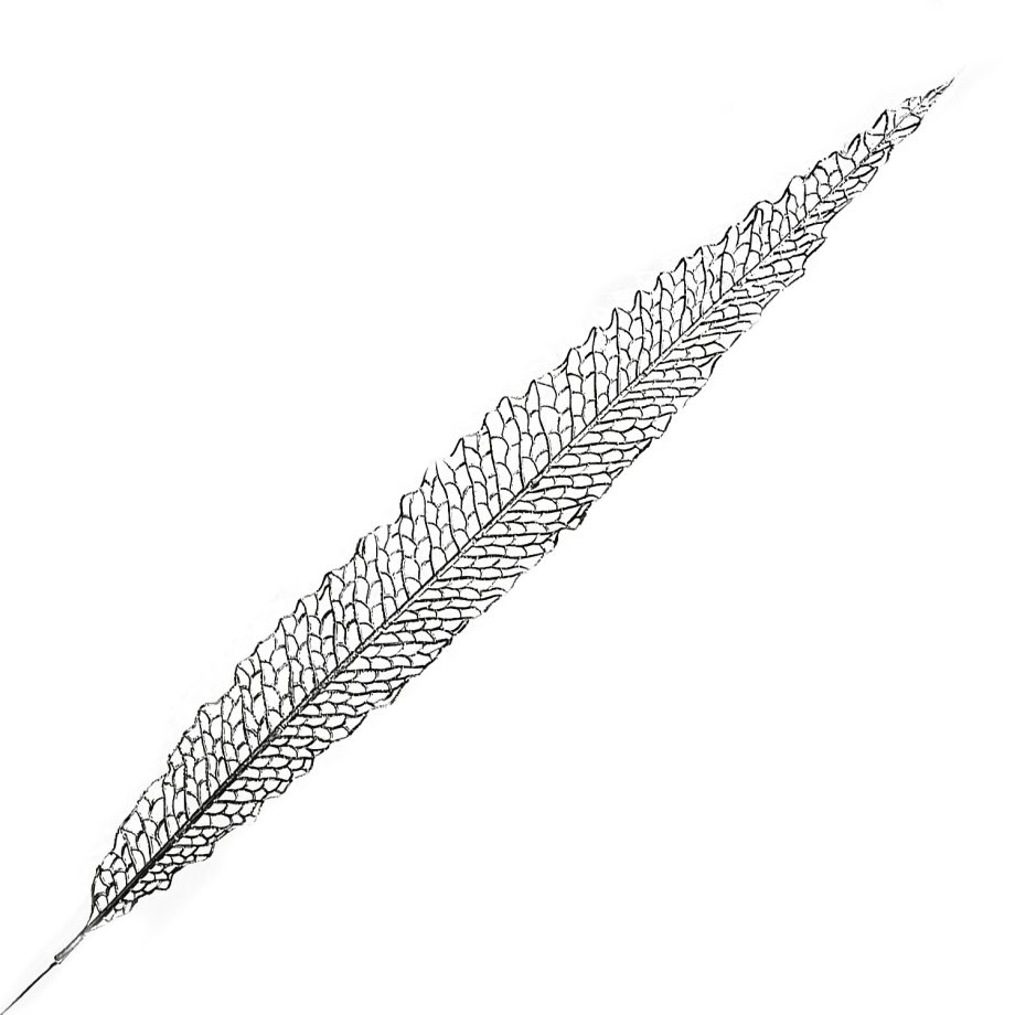 STEM LEAF ELONGATED HOLLOW 40" SILVER GLITTER