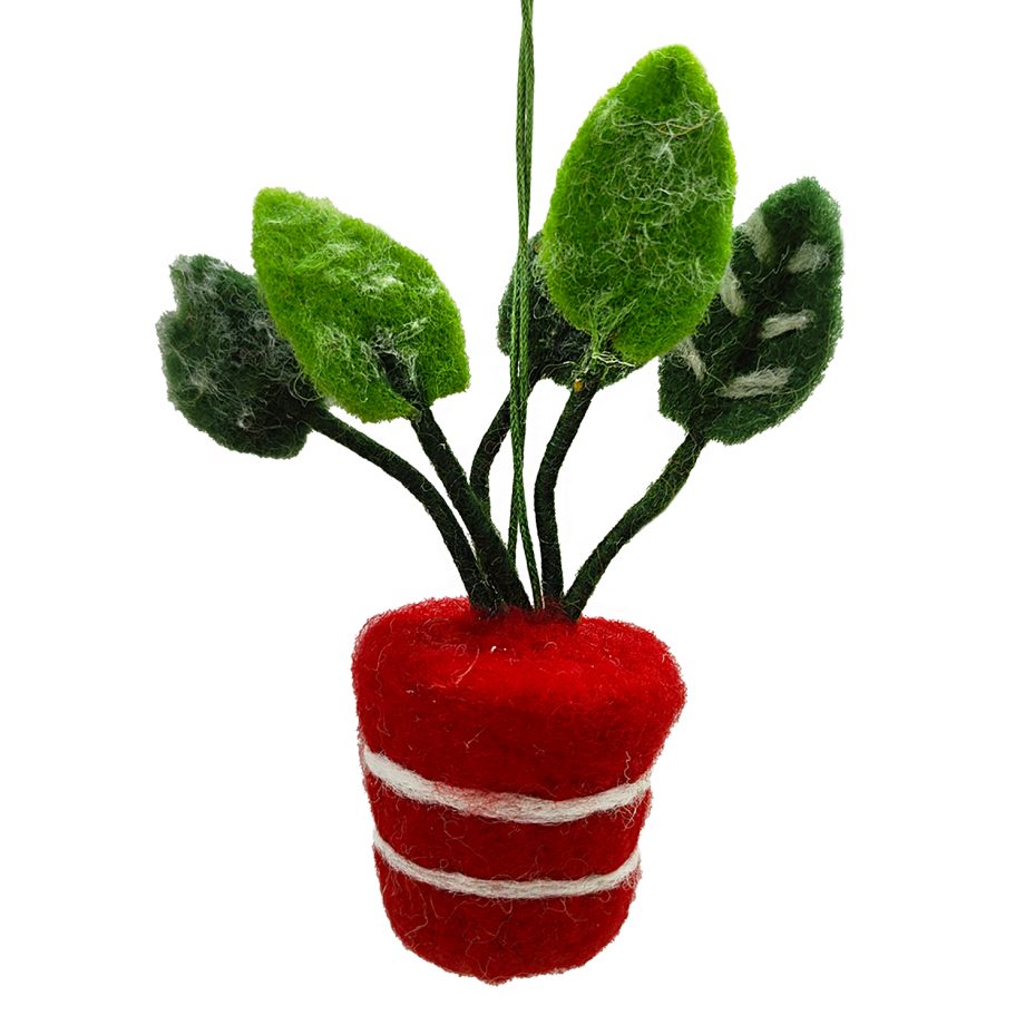 ORN WOOL PLANT IN A POT 5" RED/GREEN