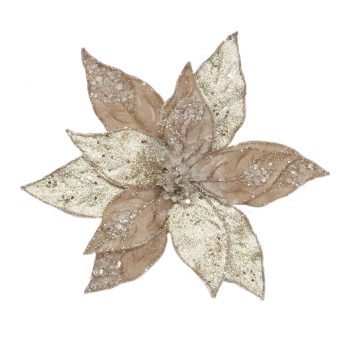 POINSETTIA HEAD CHAMPAGNE 11" FABRIC W/ ICED BEADS & GLITTER