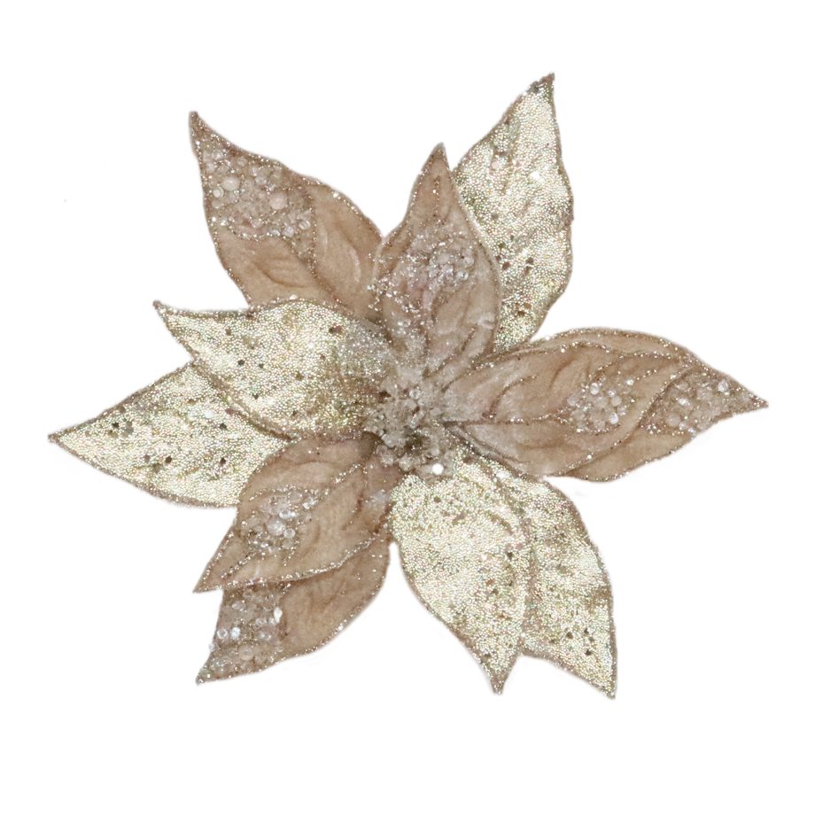 POINSETTIA HEAD CHAMPAGNE 11" FABRIC W/ ICED BEADS & GLITTER