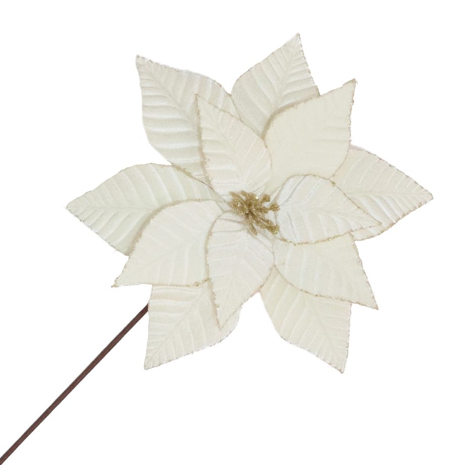 POINSETTIA STEM IVORY 12" VELVET RIBBED W/ GLITTER EDGES