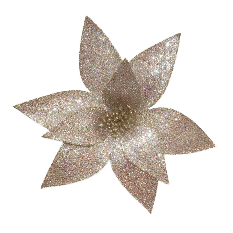 POINSETTIA HEAD CHAMPAGNE 12" FABRIC IRIDESCENT GLITTER