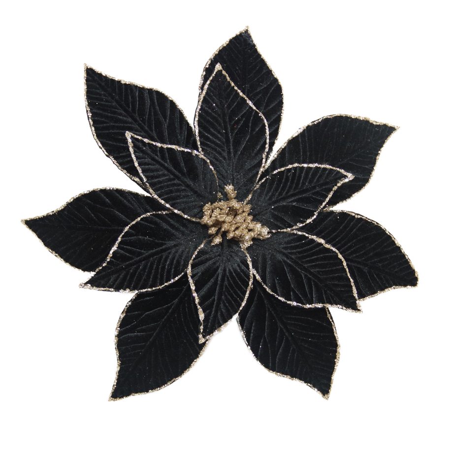 POINSETTIA HEAD BLK/CHAMPAGNE 13" VELVET W/ GLITTER TRIM
