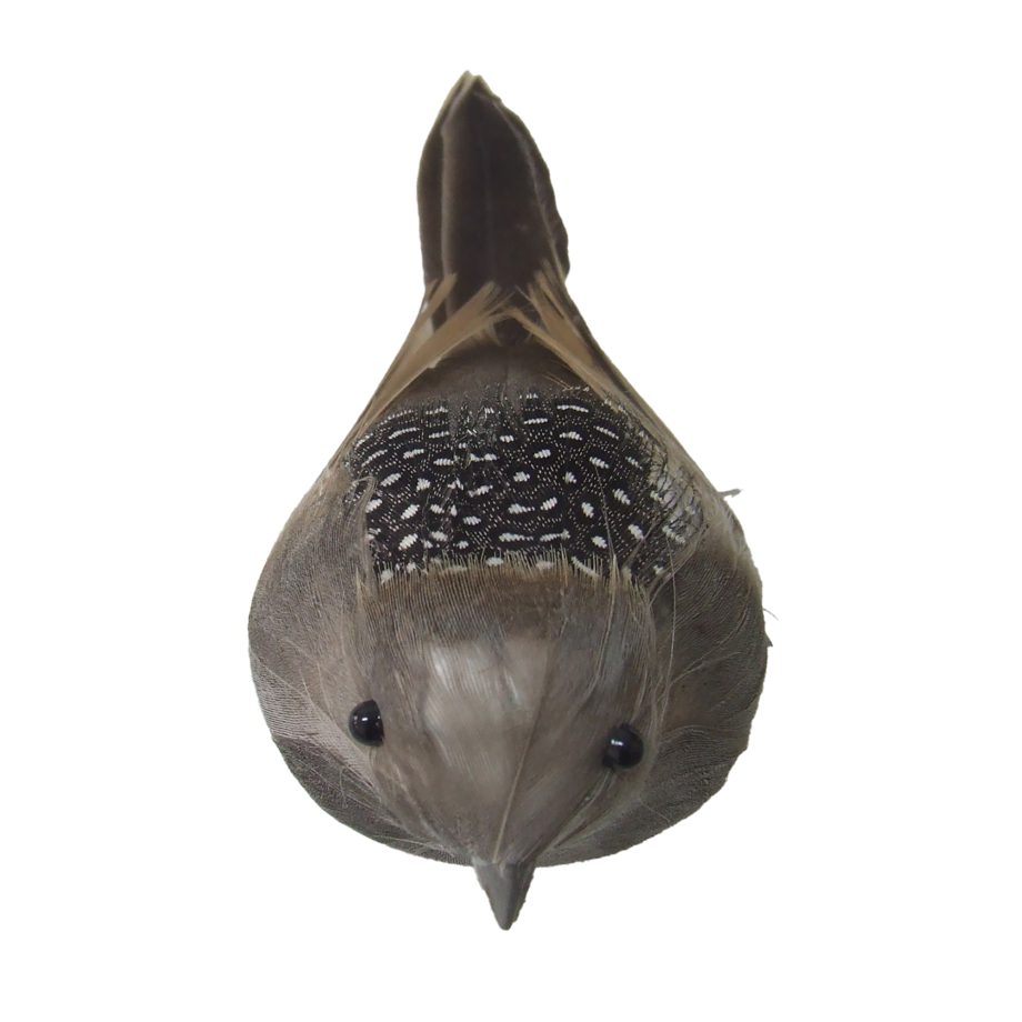 BIRD NATURAL FEATHER 5" W/ CLIP