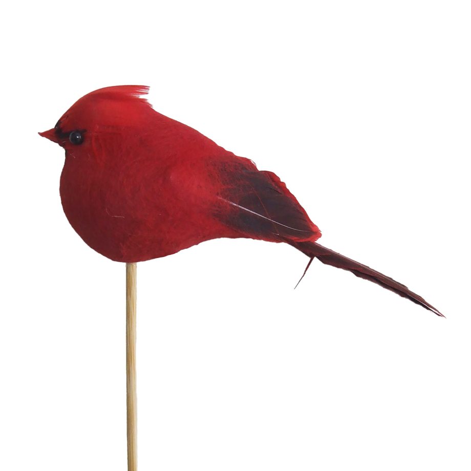 CARDINAL RED FEATHER/COTTON 5" W/ BAMBOO PICK