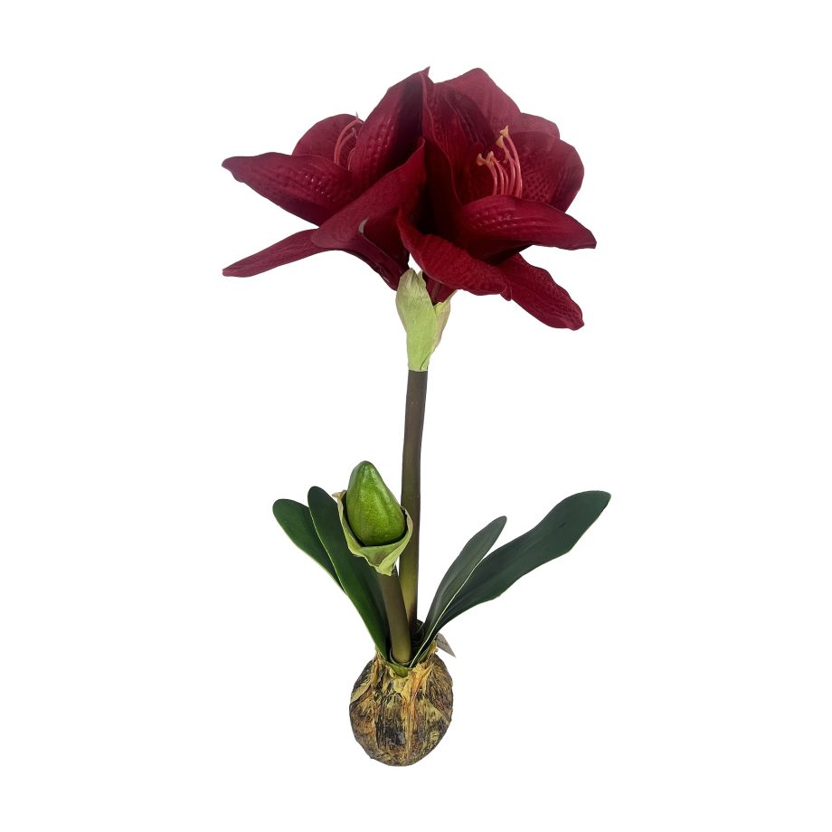 SPRAY AMARYLLIS 21" RED