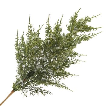 SPRAY CEDAR GREEN 18" SNOW-FROSTED