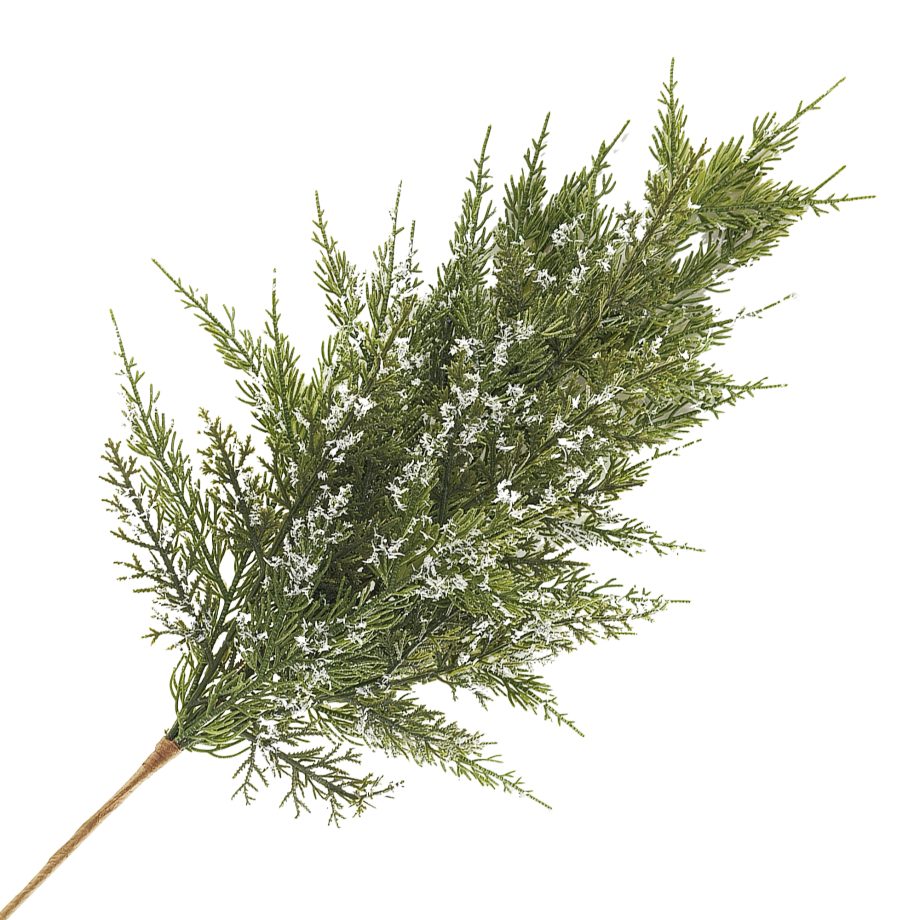 SPRAY CEDAR GREEN 24" SNOW-FROSTED