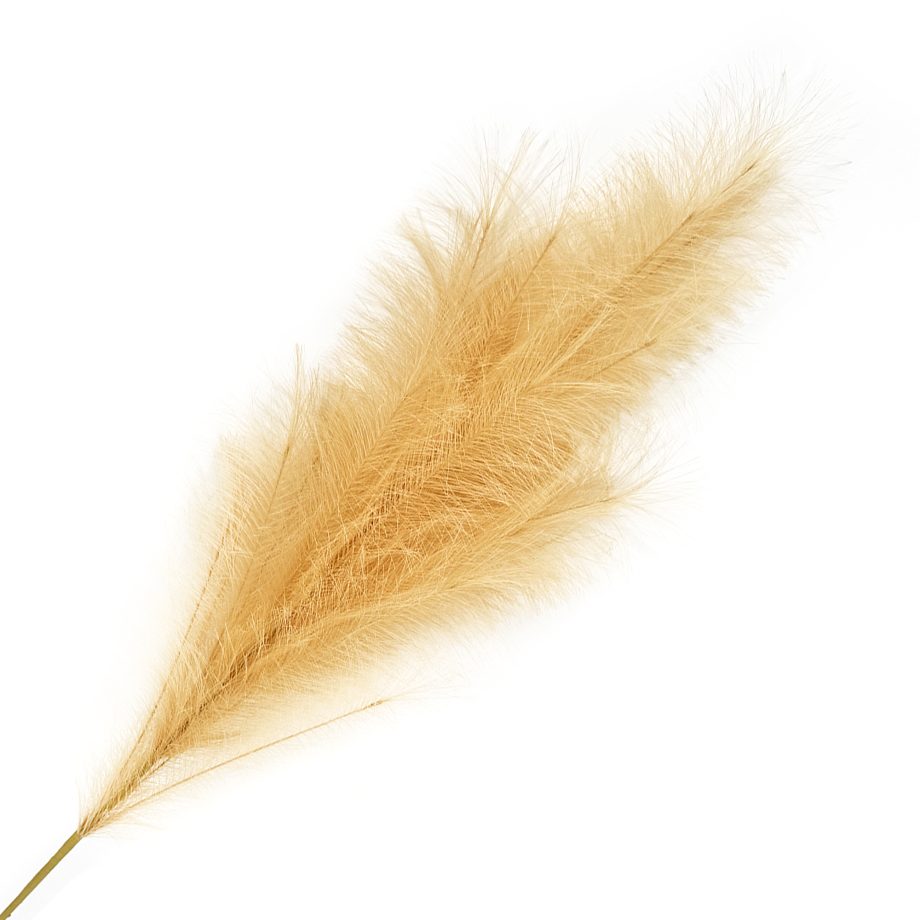 SPRAY PAMPAS GRASS BUTTERCREAM 43"