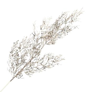 SPRAY CORAL LEAF BRANCH 30" CHAMPAGNE W/ GLITTER