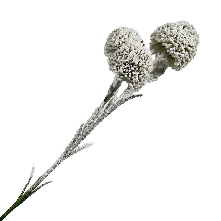 SPRAY DANDELION POD 3PC NATURAL 24" FLOCKED