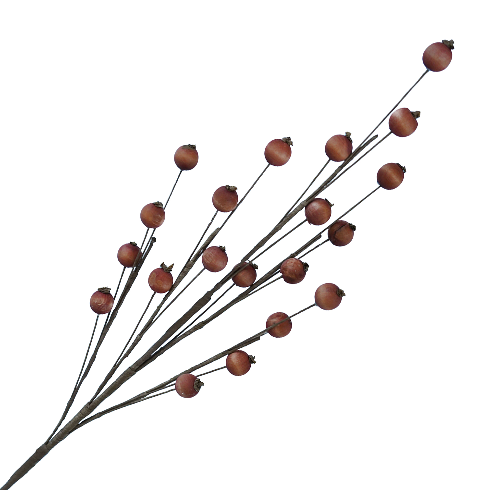 FALL SPRAY SPAY HUCKLEBERRY 27.5" LIGHT ORANGE