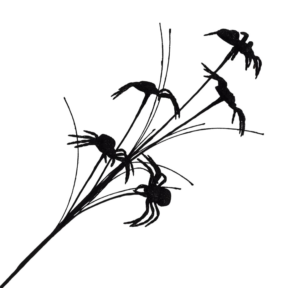HALLOWEEN SPRAY SPIDER BLACK 28" GLITTER