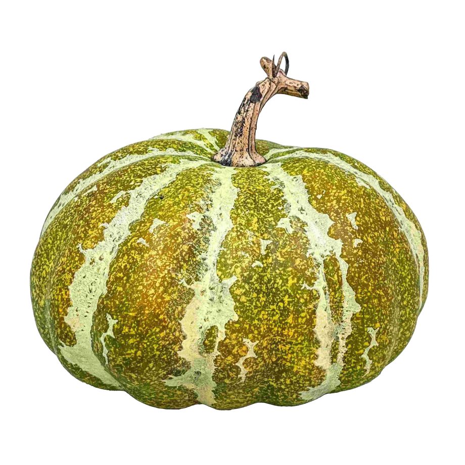 FALL PUMPKIN 180MM GREEN