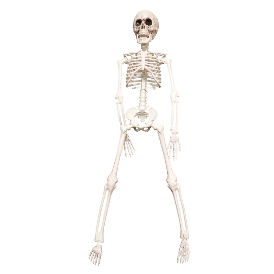 HALLOWEEN HANGING SKELETON 16"