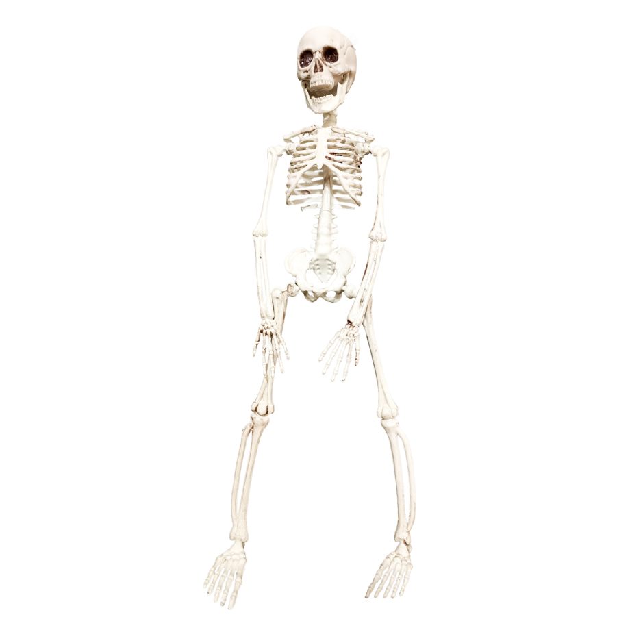 HALLOWEEN HANGING SKELETON 20"