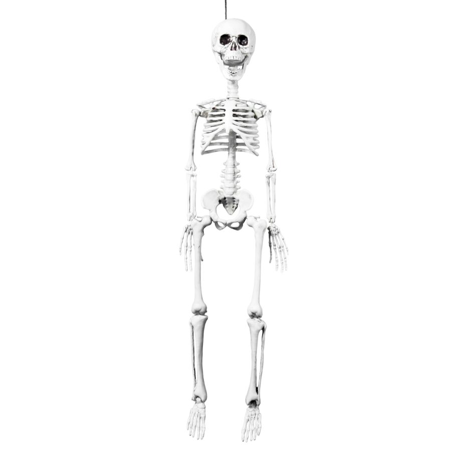 HALLOWEEN HANGING SKELETON 30"