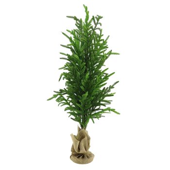 TREE NORFOLK PINE REAL-TOUCH 36" GREEN/NATURAL W/ BURLAP BASE