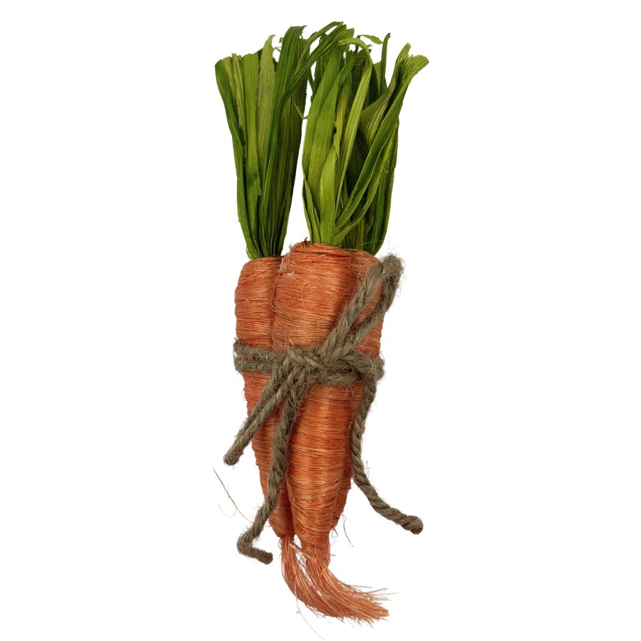 CARROT BUNDLE 3PCS 9" SISAL