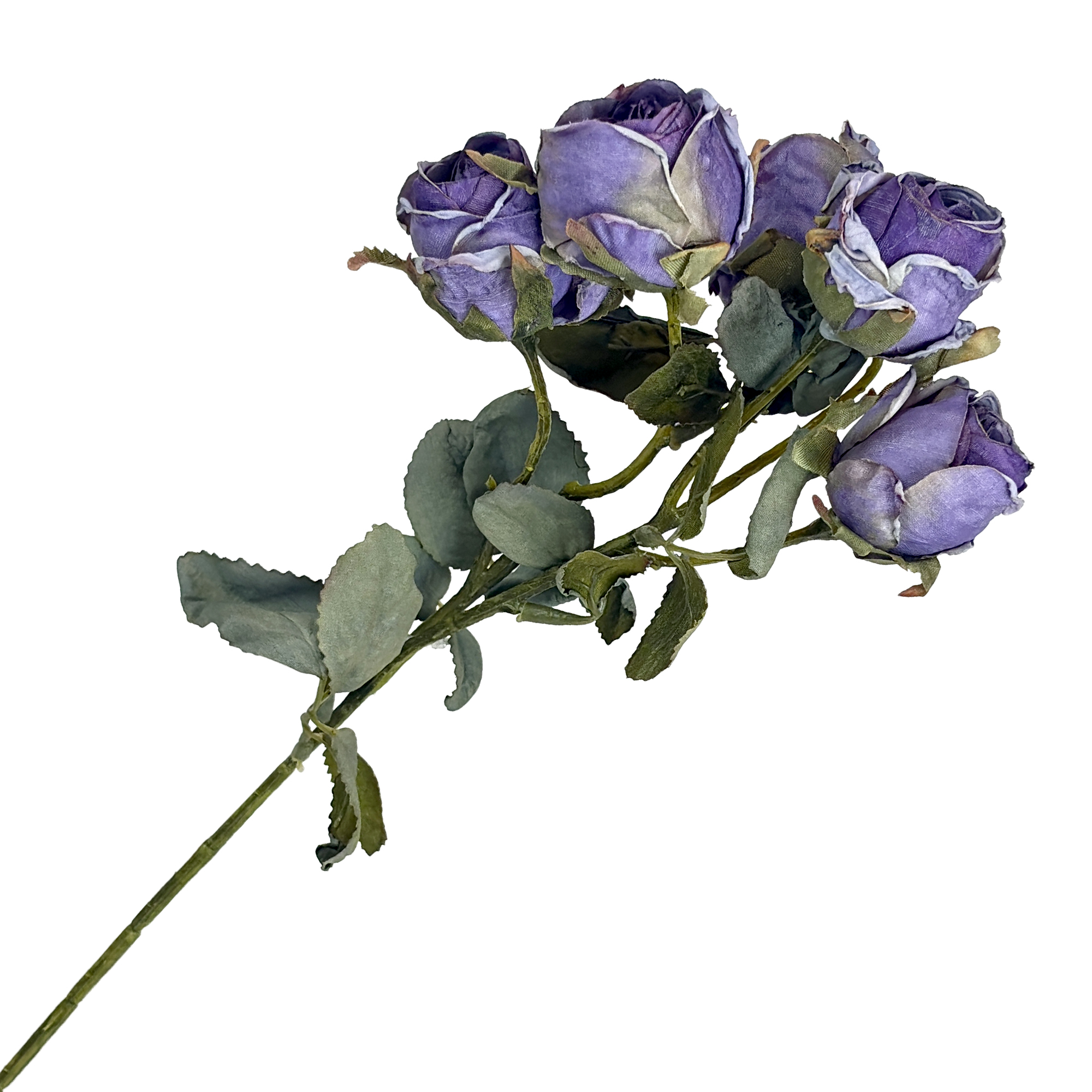 SPRAY DRIED VINTAGE ROSE 17"X5 LILAC