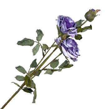 SPRAY DRIED VINTAGE ROSE 22"X3 LILAC
