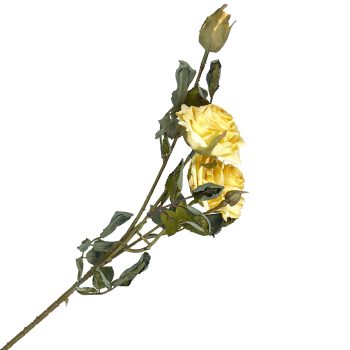 SPRAY DRIED VINTAGE ROSE 22" YELLOW