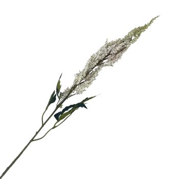 SPRAY DRIED LAVENDER 29" CREAM