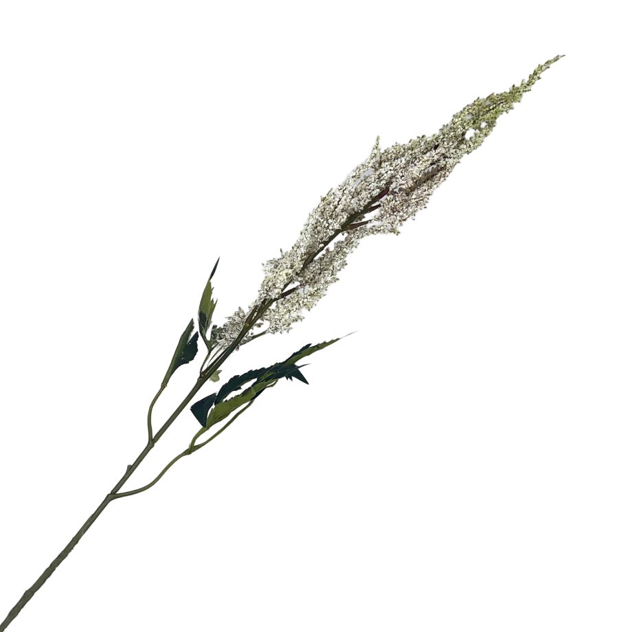 SPRAY DRIED LAVENDER 29" CREAM