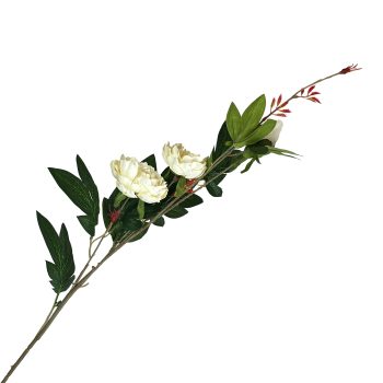 SPRAY PEONY 35.5"X3 CREAM