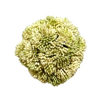 BALL MINI BEAN 4" CREAM