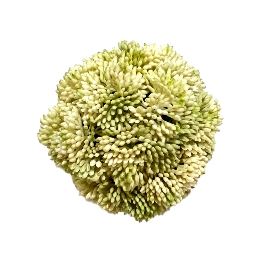 BALL MINI BEAN 4" CREAM