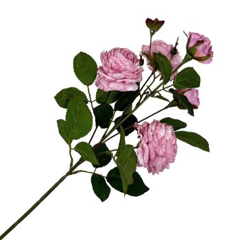 SPRAY RANUNCULUS 26"X5 PINK