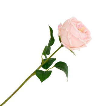 STEM ROSE 17"X5" PINK REAL TOUCH