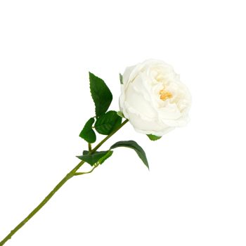STEM ROSE 17"X5" WHITE REAL TOUCH