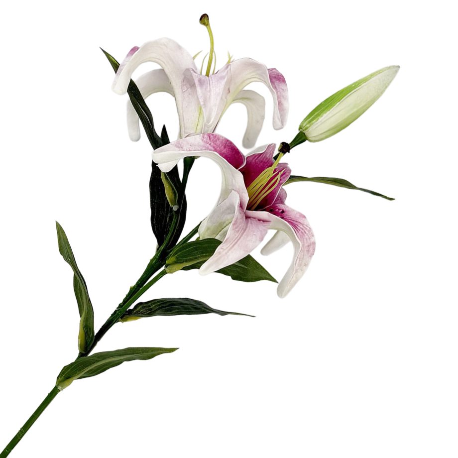 SPRAY LILY 23" FUCHSIA